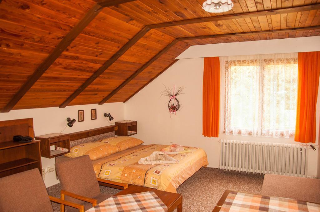 Готель Privat - Harrachov 392 Номер фото